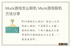 Muck游戏怎么联机 Muck游戏联机方法分享