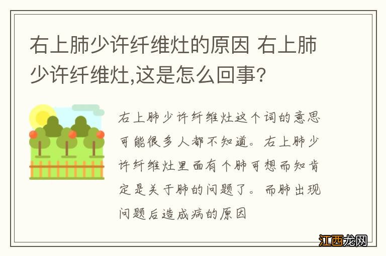 右上肺少许纤维灶的原因 右上肺少许纤维灶,这是怎么回事?