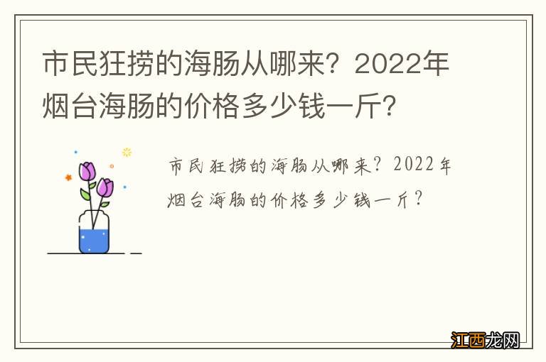 市民狂捞的海肠从哪来？2022年烟台海肠的价格多少钱一斤？