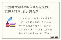 pc荒野大镖客2怎么喂马吃东西，荒野大镖客2怎么喂食马