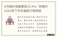 8月猪价涨幅攀至22.4%！附猪价2022年下半年最新行情预测