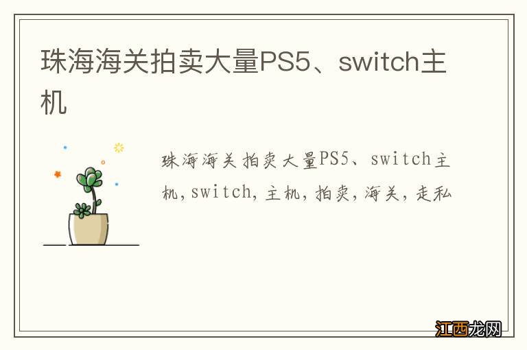 珠海海关拍卖大量PS5、switch主机