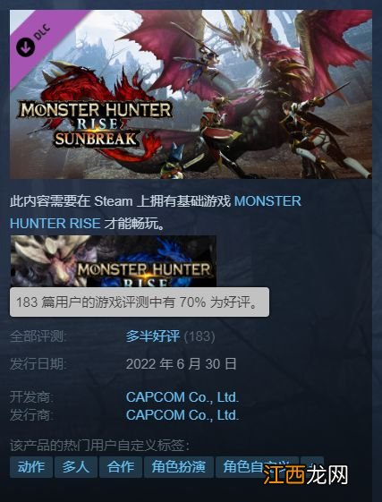 《MHR曙光》Steam多半好评：期待拉满但闪退严重