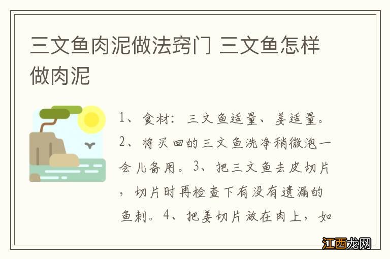 三文鱼肉泥做法窍门 三文鱼怎样做肉泥