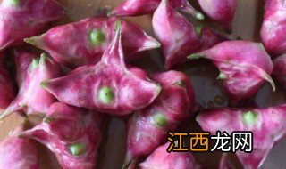 菱角可以生吃吗 菱角怎么做好吃