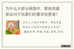 为什么大部分网游中，那些肉盾职业对于玩家们的要求会更高？