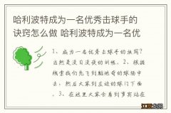 哈利波特成为一名优秀击球手的诀窍怎么做 哈利波特成为一名优秀击球手的诀窍介绍