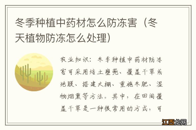 冬天植物防冻怎么处理 冬季种植中药材怎么防冻害