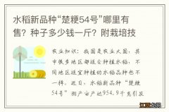 水稻新品种“楚粳54号”哪里有售？种子多少钱一斤？附栽培技术介绍