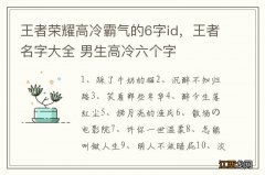 王者荣耀高冷霸气的6字id，王者名字大全 男生高冷六个字