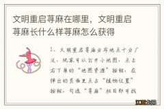 文明重启荨麻在哪里，文明重启荨麻长什么样荨麻怎么获得