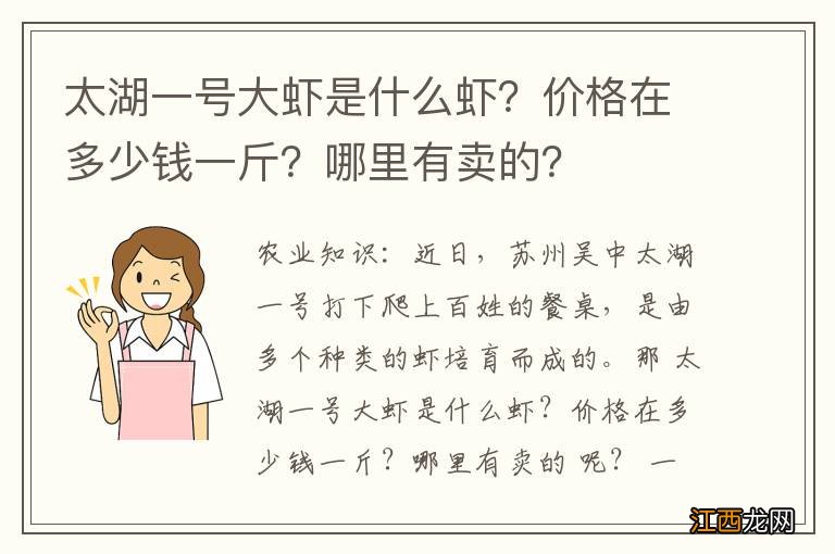 太湖一号大虾是什么虾？价格在多少钱一斤？哪里有卖的？