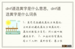 dnf遴选黄字是什么意思，dnf遴选黄字是什么词条