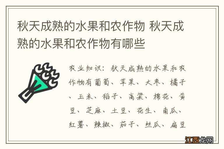 秋天成熟的水果和农作物 秋天成熟的水果和农作物有哪些