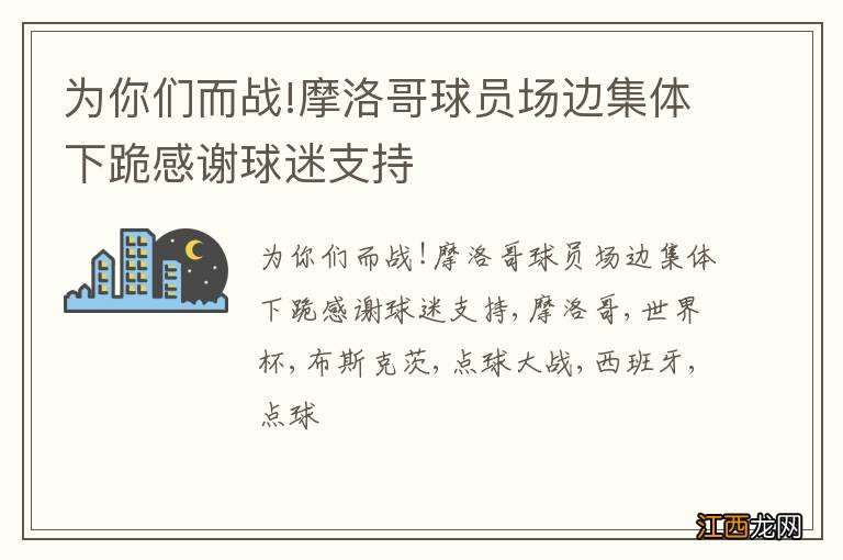 为你们而战!摩洛哥球员场边集体下跪感谢球迷支持