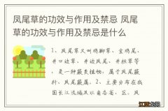 凤尾草的功效与作用及禁忌 凤尾草的功效与作用及禁忌是什么