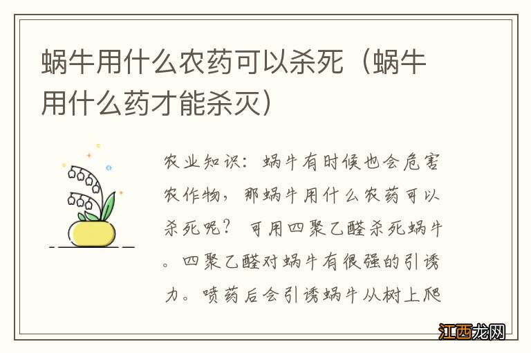 蜗牛用什么药才能杀灭 蜗牛用什么农药可以杀死