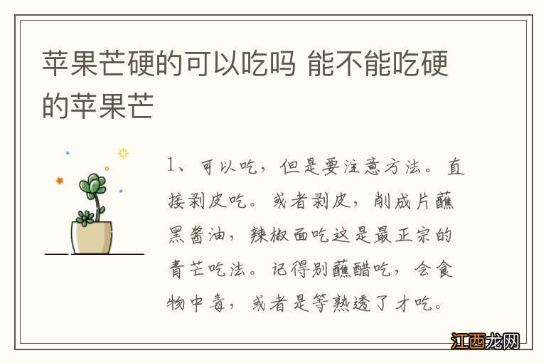 苹果芒硬的可以吃吗 能不能吃硬的苹果芒