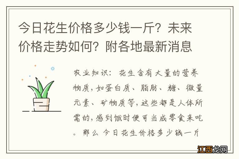 今日花生价格多少钱一斤？未来价格走势如何？附各地最新消息！