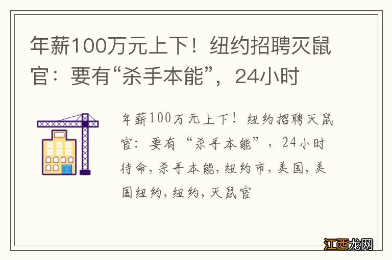 年薪100万元上下！纽约招聘灭鼠官：要有“杀手本能”，24小时待命