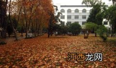 2017年扬州大学曲靖学历提升招生简章