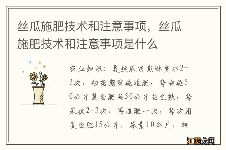 丝瓜施肥技术和注意事项，丝瓜施肥技术和注意事项是什么