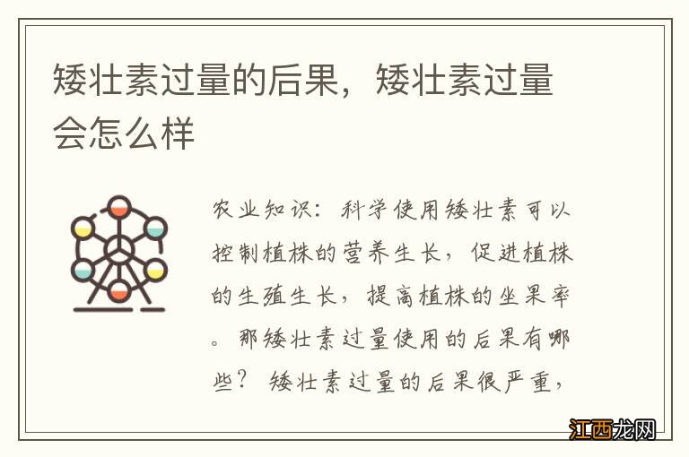 矮壮素过量的后果，矮壮素过量会怎么样