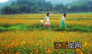 7月份适合去哪里旅游