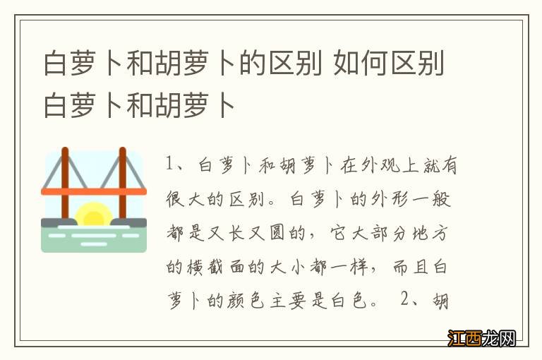 白萝卜和胡萝卜的区别 如何区别白萝卜和胡萝卜