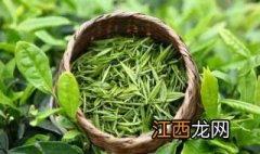 高山绿茶和平地绿茶