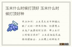 玉米什么时候打顶好 玉米什么时候打顶好种