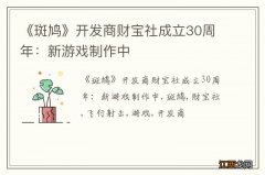 《斑鸠》开发商财宝社成立30周年：新游戏制作中