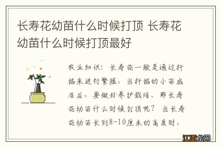 长寿花幼苗什么时候打顶 长寿花幼苗什么时候打顶最好