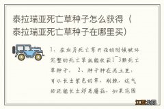 泰拉瑞亚死亡草种子在哪里买 泰拉瑞亚死亡草种子怎么获得