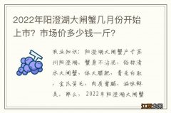 2022年阳澄湖大闸蟹几月份开始上市？市场价多少钱一斤？