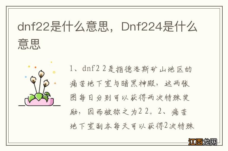 dnf22是什么意思，Dnf224是什么意思