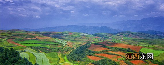 旱地属于什么土地性质 旱地属于什么土地性质是基本农田吗?