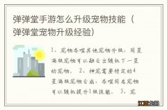 弹弹堂宠物升级经验 弹弹堂手游怎么升级宠物技能