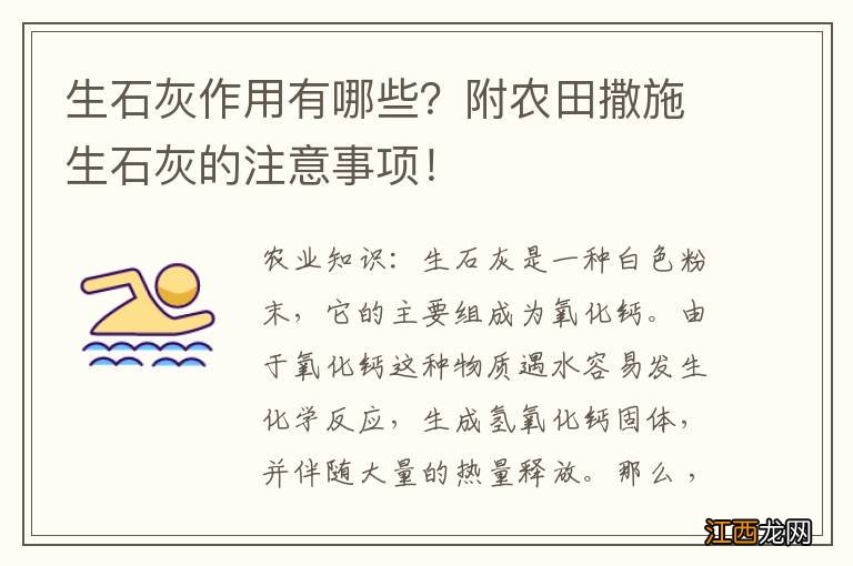 生石灰作用有哪些？附农田撒施生石灰的注意事项！