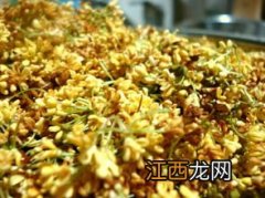 怎么自制干桂花