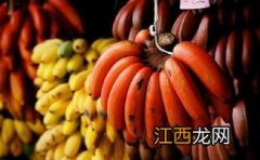 红色的香蕉叫什么名字