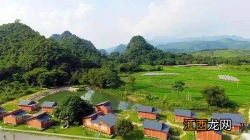 英红英德怎么过英德市