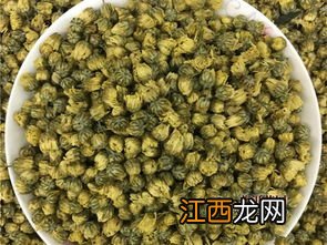 胎菊怎么挑选