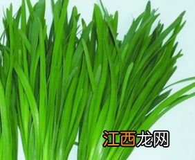 怎么区分韭菜有没有洗