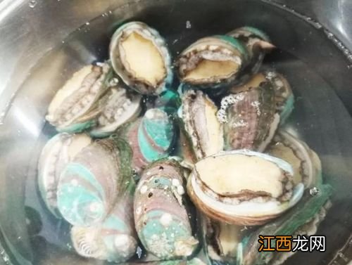 大鲍鱼蒸多久最佳时间