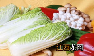 大白菜为什么苦