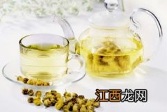 春季下火喝什么茶