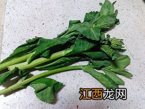 冲菜什么季节做