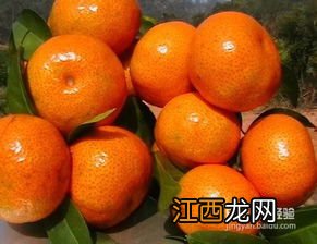 吃什么水果能减轻体味