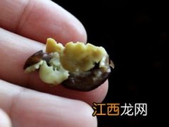 月饼葡萄馅怎么做好吃